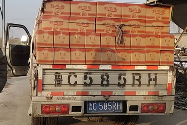 鮮雞蛋發(fā)貨